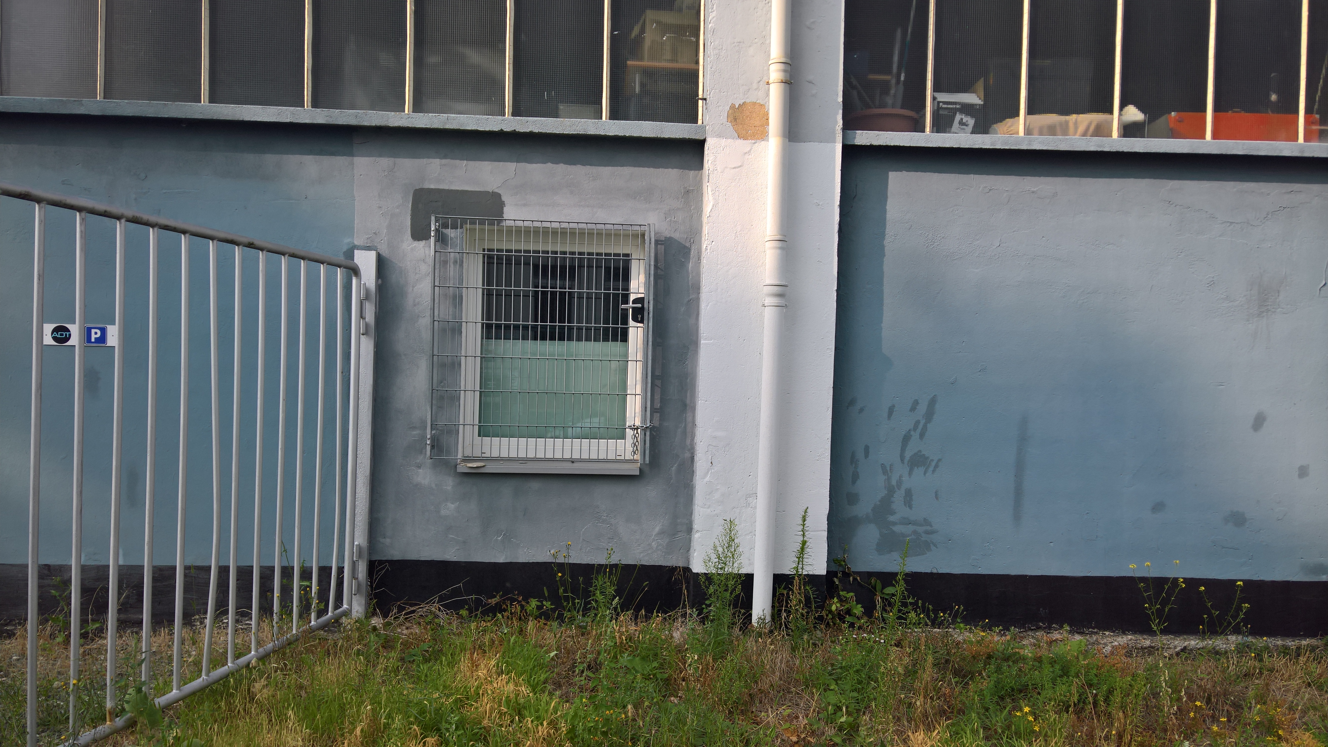 WP 20240726 17 55 54 Rich