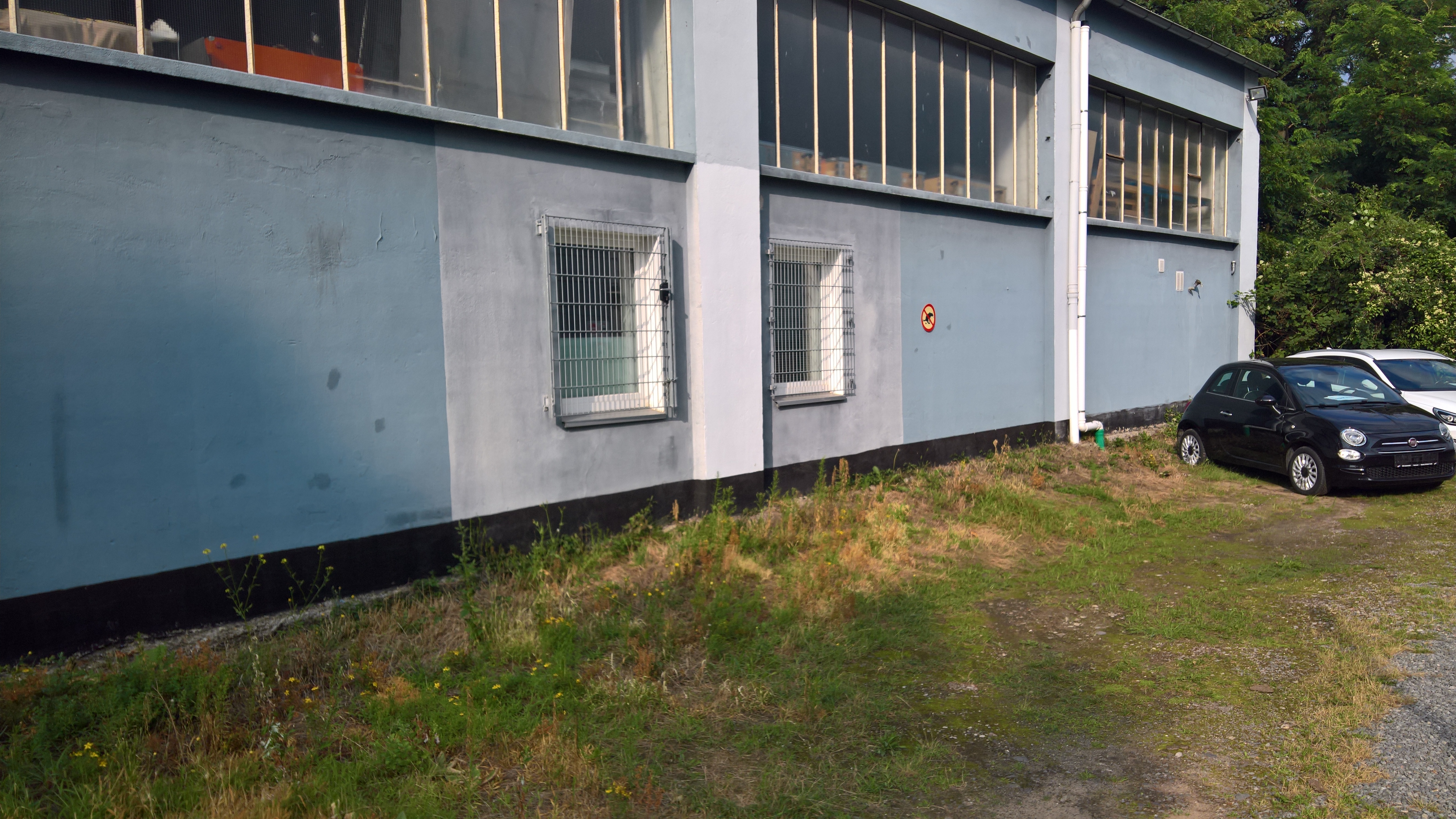 WP 20240726 17 55 56 Rich